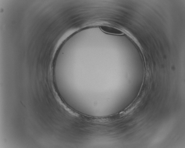 X0000073491053200608211645