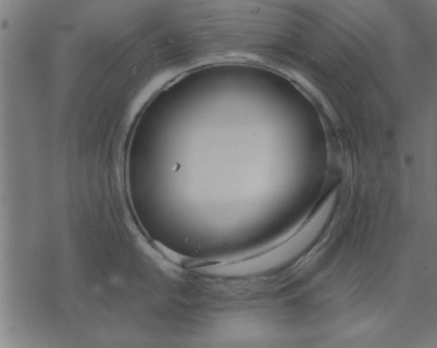 X0000073491054200608211645