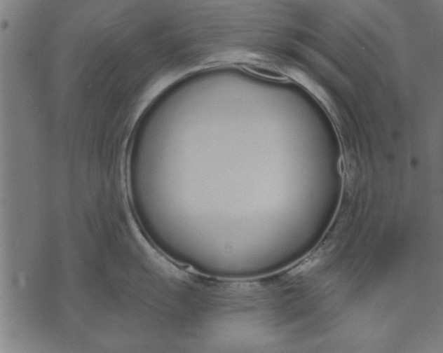 X0000073491055200608211645