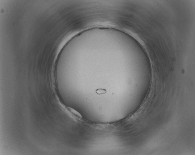 X0000073491056200608211645