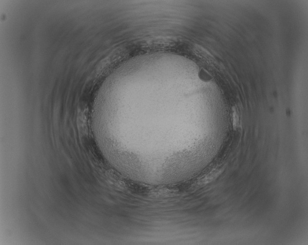 X0000073491059200608211644