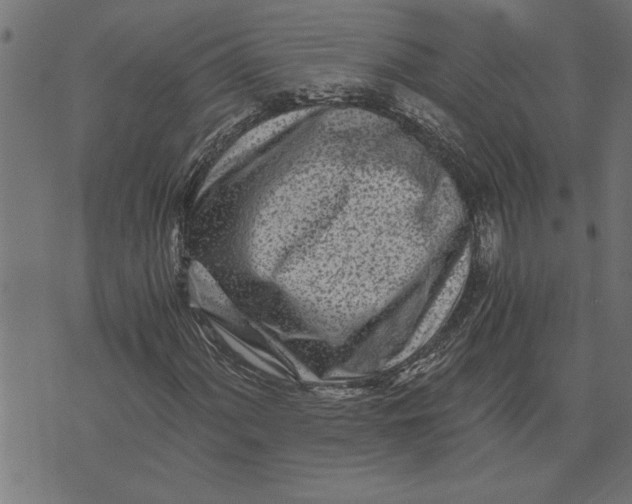 X0000073491060200608211644