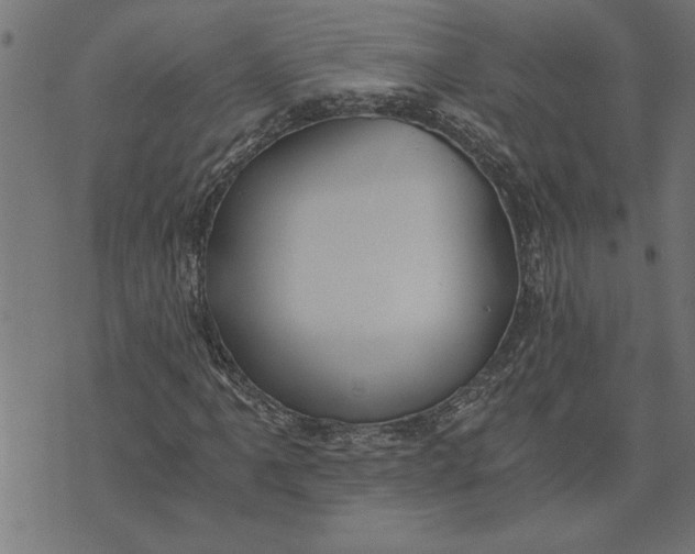 X0000073491061200608211644