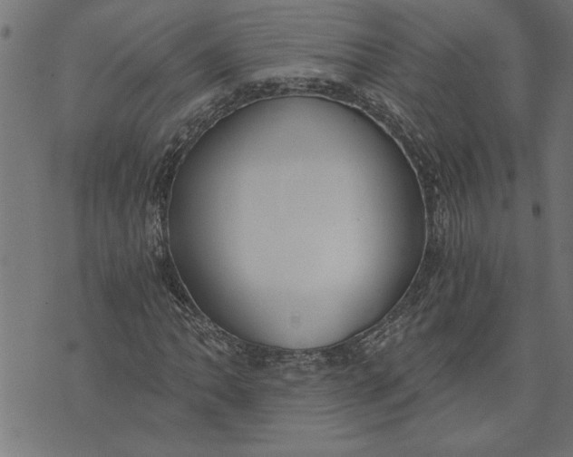 X0000073491062200608211644