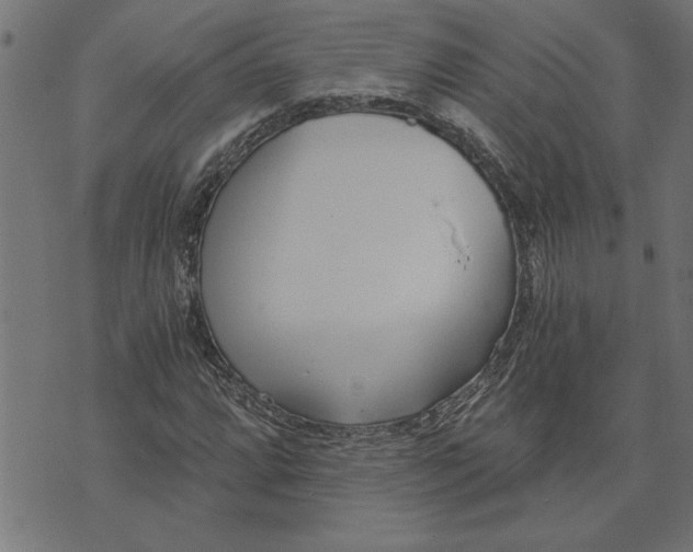 X0000073491064200608211644