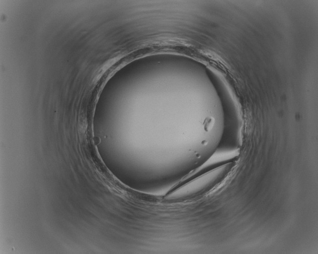 X0000073491065200608211644