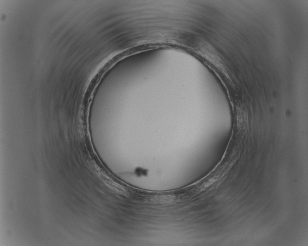 X0000073491068200608211644