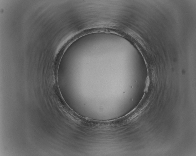 X0000073491069200608211644