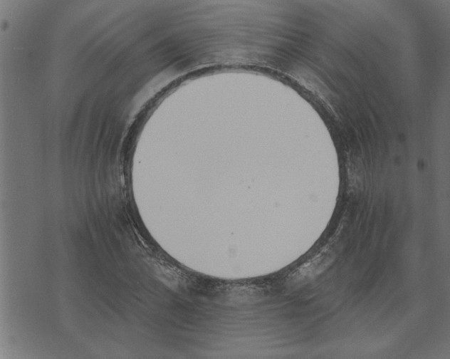 X0000073491070200608211644