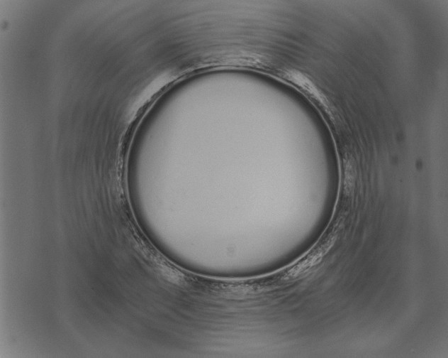 X0000073491071200608211644