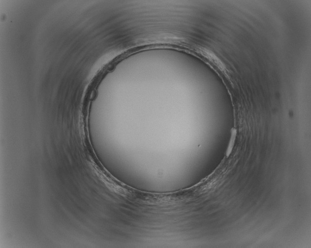 X0000073491072200608211644