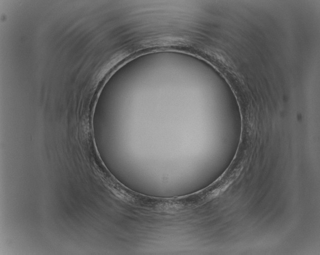 X0000073491073200608211644