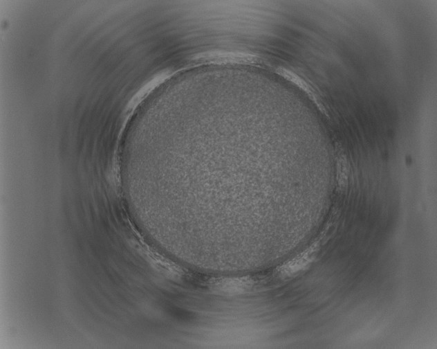 X0000073491074200608211644