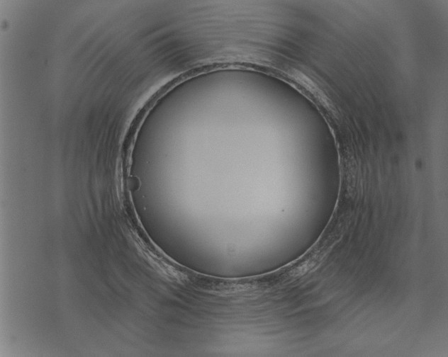 X0000073491076200608211644