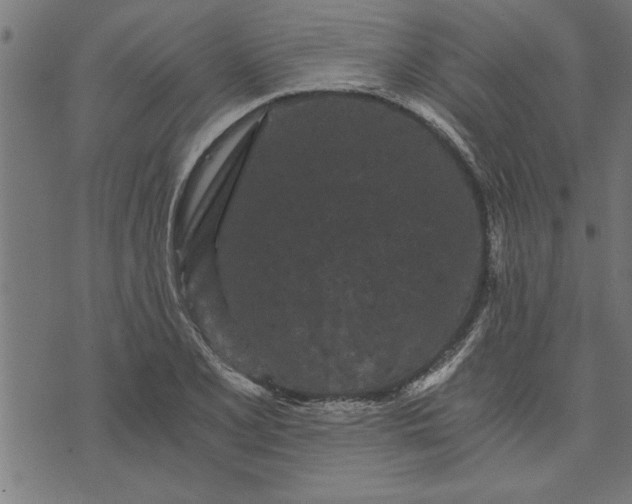 X0000073491077200608211644