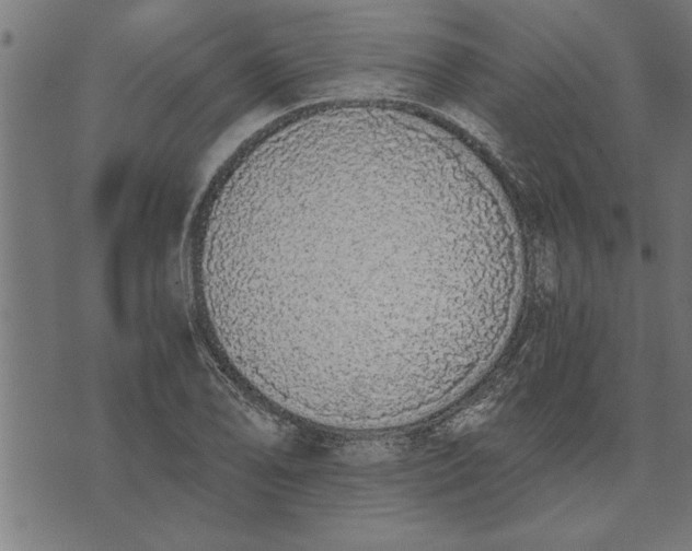 X0000073491078200608211644