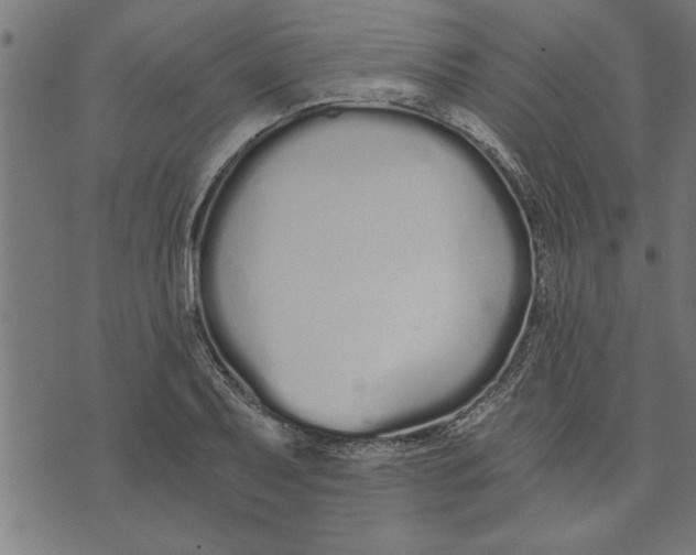 X0000073491079200608211644