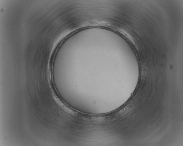 X0000073491080200608211644