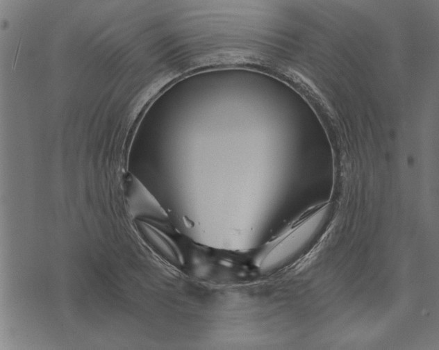 X0000073491081200608211644