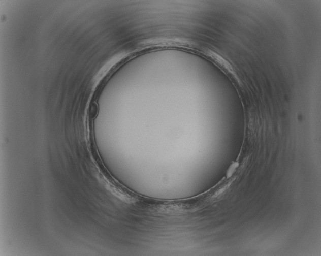 X0000073491082200608211644