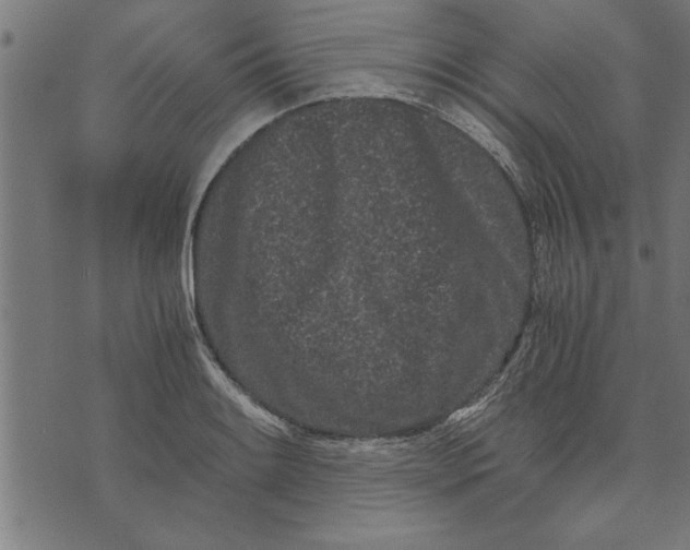 X0000073491084200608211644