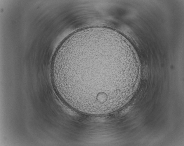 X0000073491086200608211644