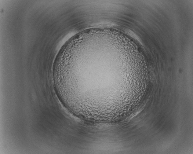 X0000073491087200608211644