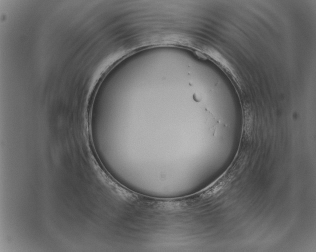 X0000073491088200608211644