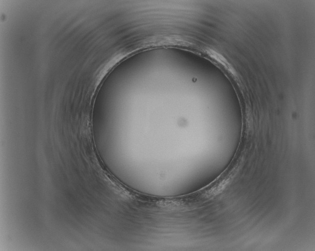 X0000073491089200608211644