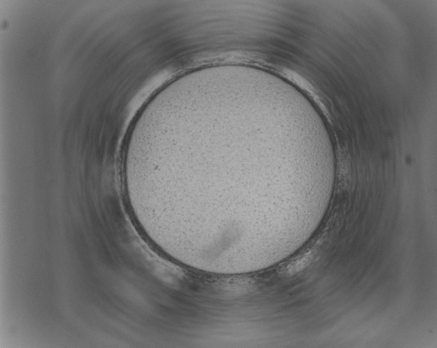 X0000073491090200608211644