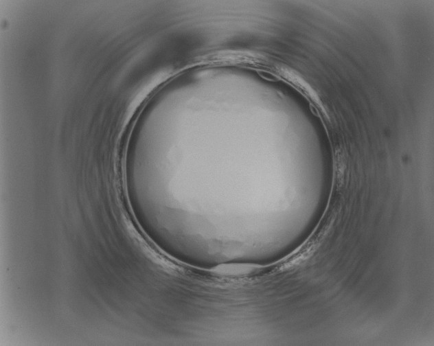 X0000073491091200608211644