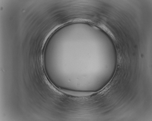 X0000073491092200608211644