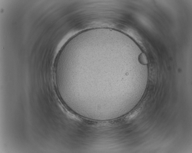 X0000073491094200608211644