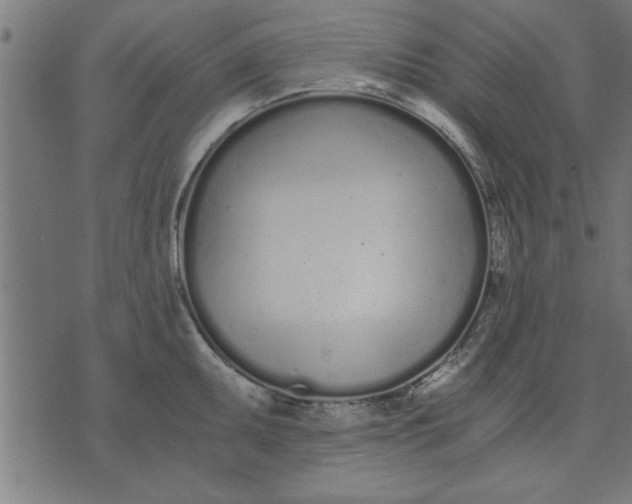 X0000073491095200608211644