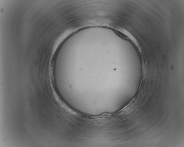 X0000073491096200608211644