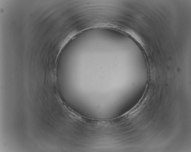 X0000073491097200608211643