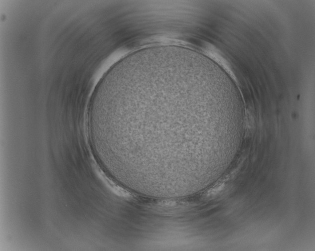 X0000073491098200608211643