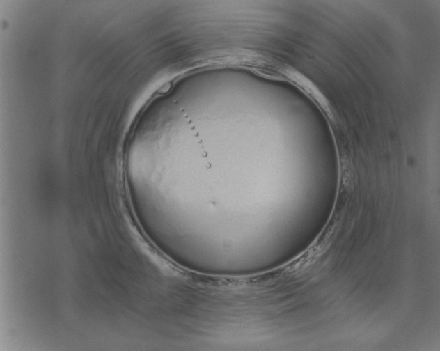 X0000073491099200608211643