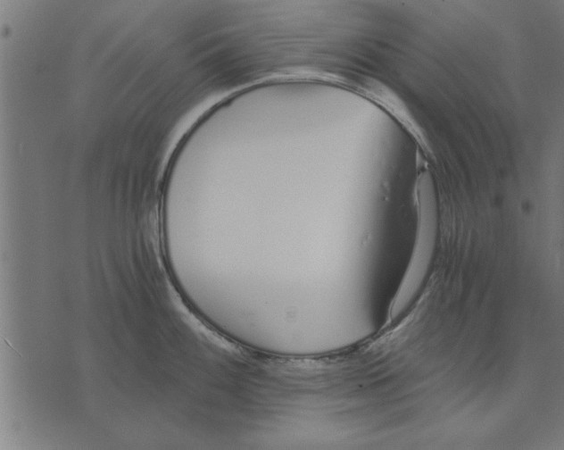 X0000073491100200608211643