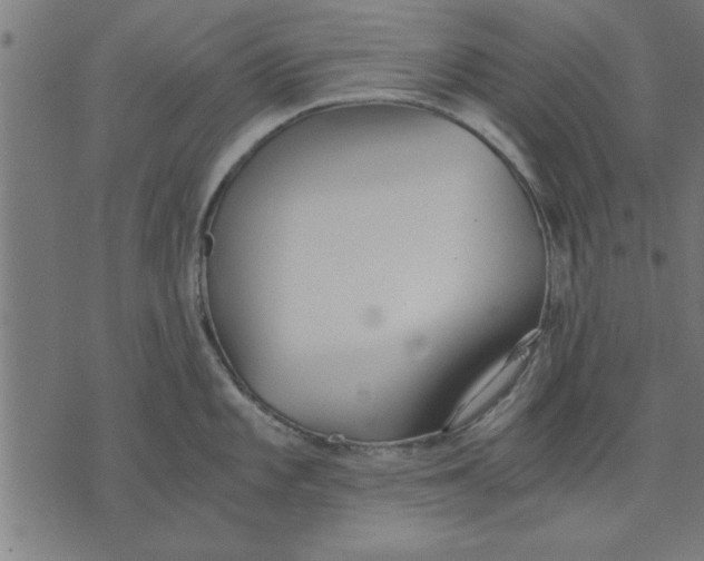 X0000073491101200608211643