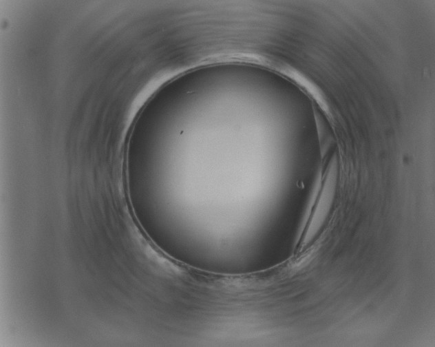 X0000073491102200608211643