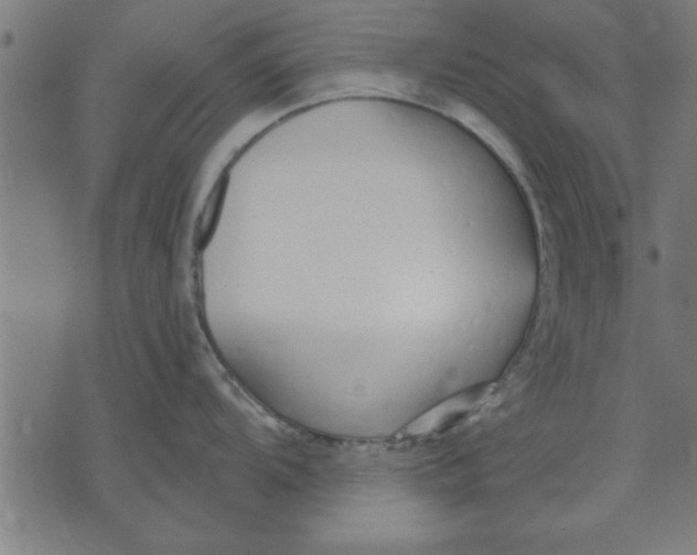 X0000073491104200608211643