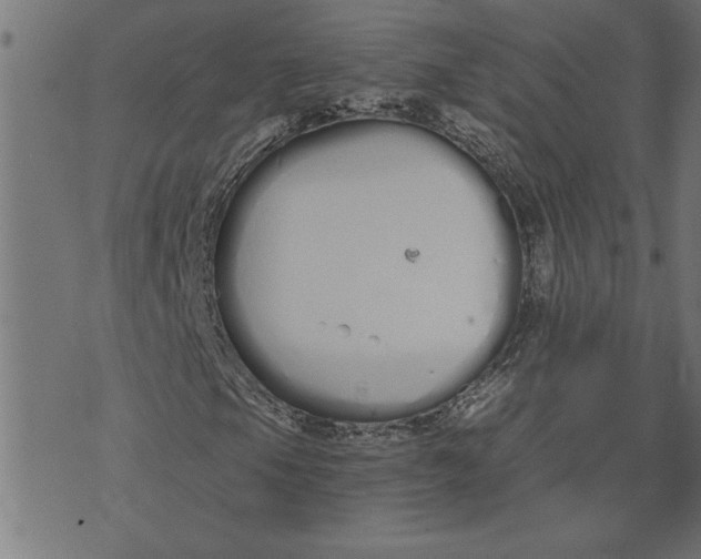 X0000073491105200608211643