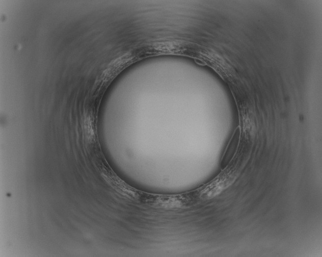 X0000073491106200608211643