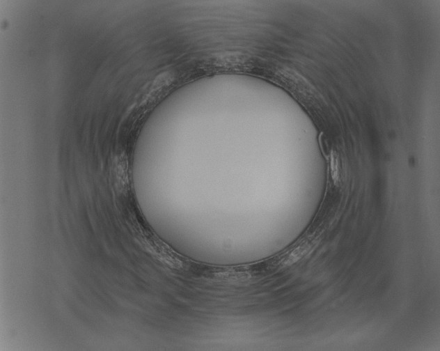 X0000073491107200608211643