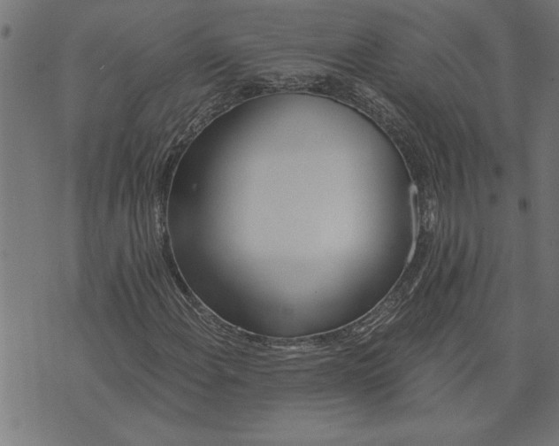 X0000073491108200608211643