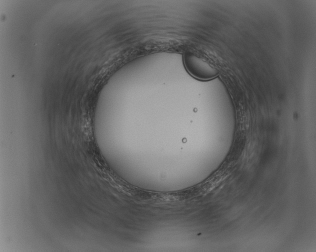 X0000073491109200608211643