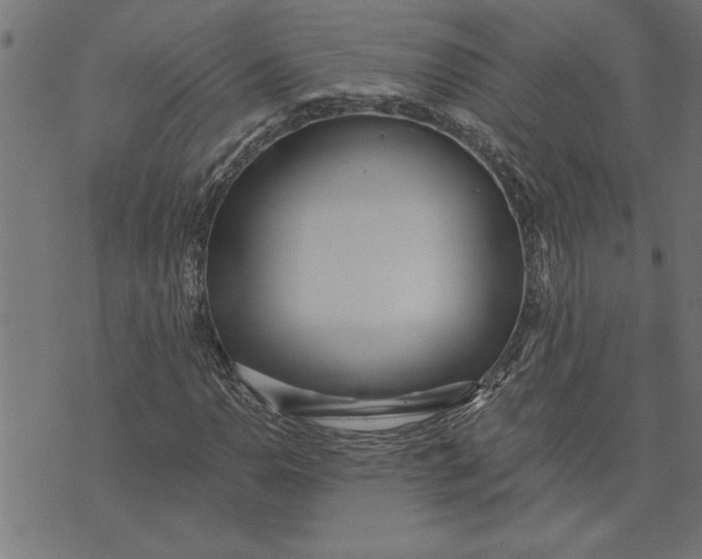 X0000073491110200608211643