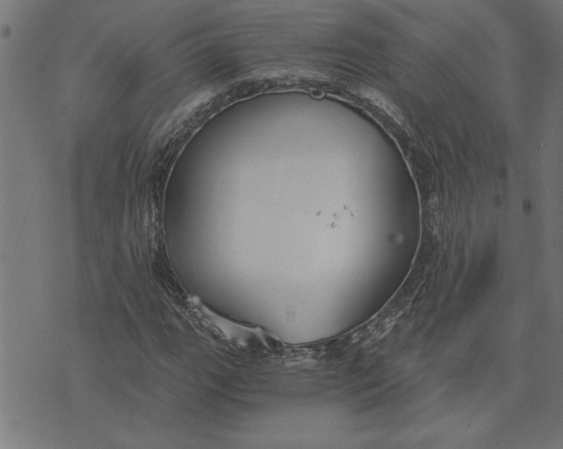 X0000073491111200608211643