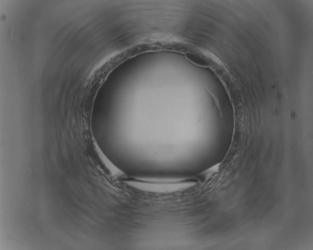 X0000073491112200608211643